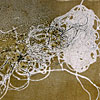 Networks 1