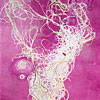 Networks 3