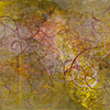 Networks 9