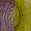 Sightlines 13