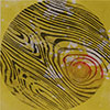 Sightlines 18