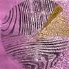 Sightlines 20