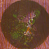 Sightlines 4