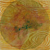 Sightlines 5