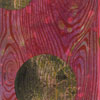 Sightlines 8